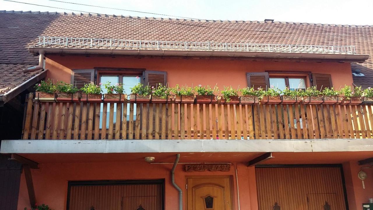 Gite Du Vigneron Mittelwihr Eksteriør billede